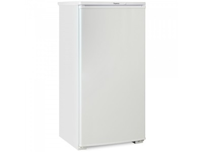 Холодильник Бирюса 10 (снято с производства)