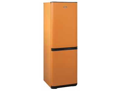 Холодильный шкаф Бирюса T633