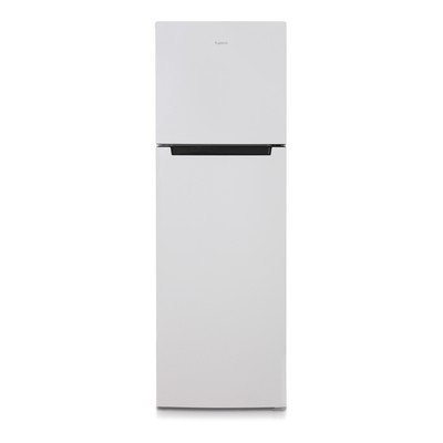 Холодильник Бирюса 6039 (снято с производства)