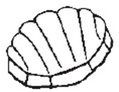 Форма для шоколадных конфет Paderno 47862-02