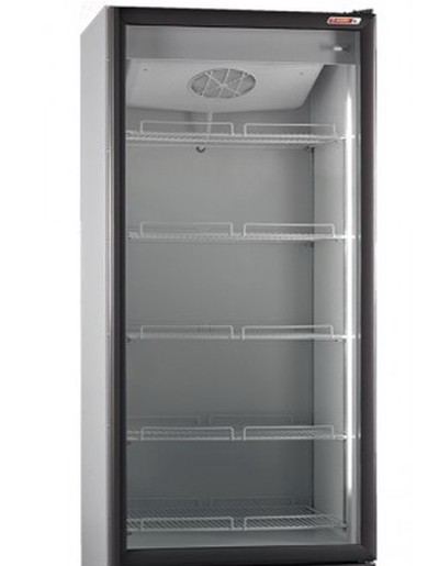 Дверь стеклянная для Рапсодия R 700