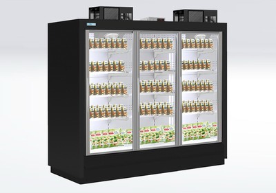 Морозильный шкаф ШН 1.80-6.0 ANZIO LT 3D 2343R290