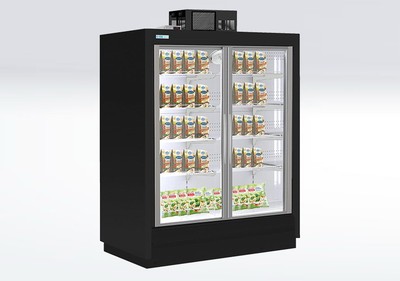 Морозильный шкаф ШН-1.20-4.0 ANZIO LT 2D 1562R290