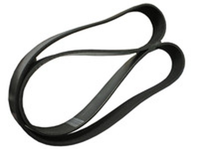 Ремень для Bongard Saturne 3 EV 20 L / 3 EV 60 L