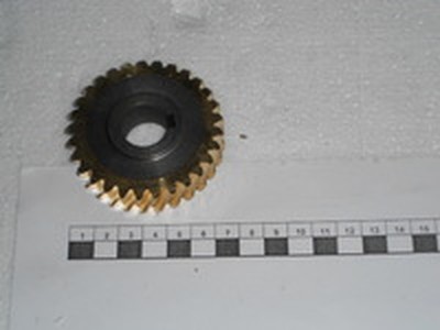 Шестерня червячная для Gastromix B20C / B30C-65